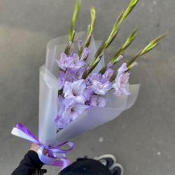5 сиреневых гладиолусов