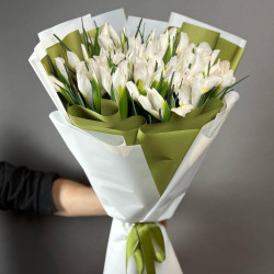 39 белых ирисов